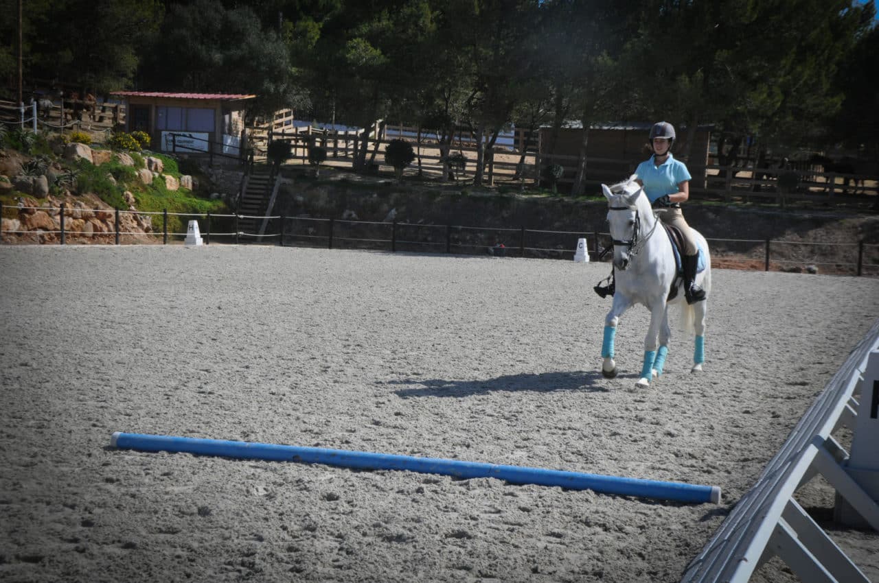 creative riding polework lesson - The Swedish Concept For joy and success Pole work