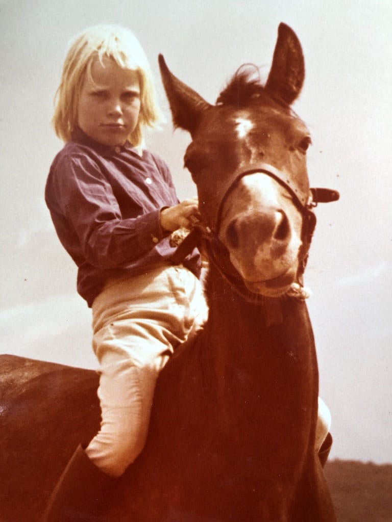jag och focus - The Swedish Concept For joy and success Barbro's horsey journey